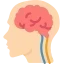 Ca lâm sàng vùng bụng