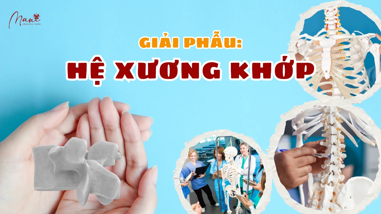 Ảnh giới thiệu 03