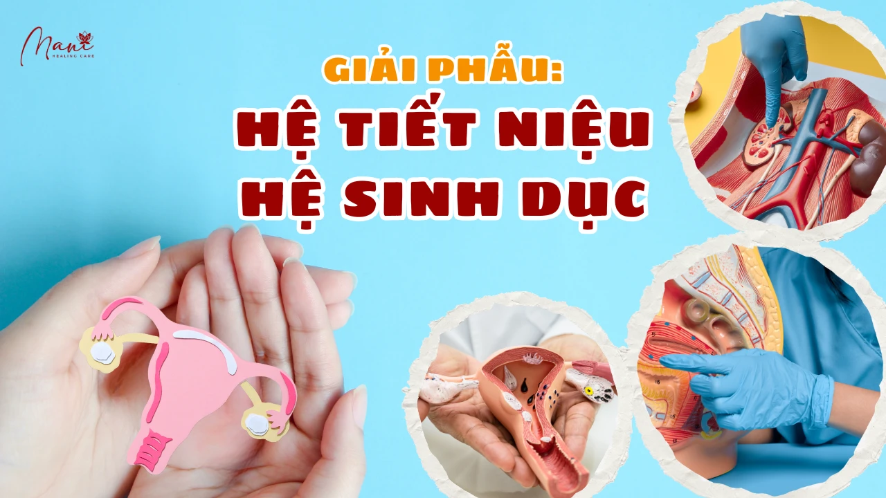 Ảnh giới thiệu 01