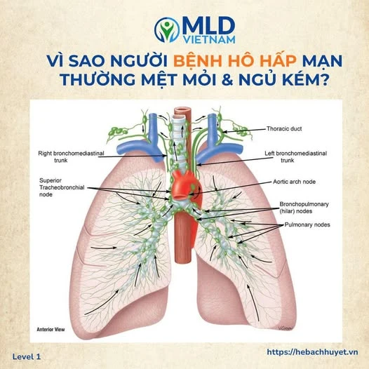 Vì sao người bệnh hô hấp mạn thường mệt mỏi và ngủ kém?