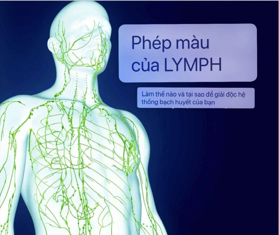 Ebook sách Miracle of Lymph (Phép màu của Hệ bạch huyết), tác giả Tiến sĩ John Douillard