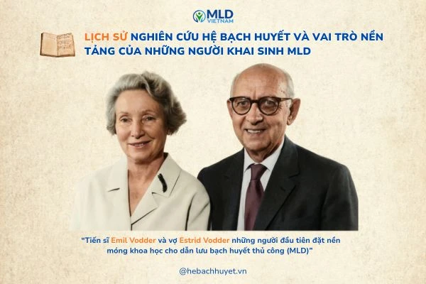Lịch sử nghiên cứu hệ bạch huyết: từ “vùng tối” giải phẫu đến nền tảng sinh lý học hiện đại