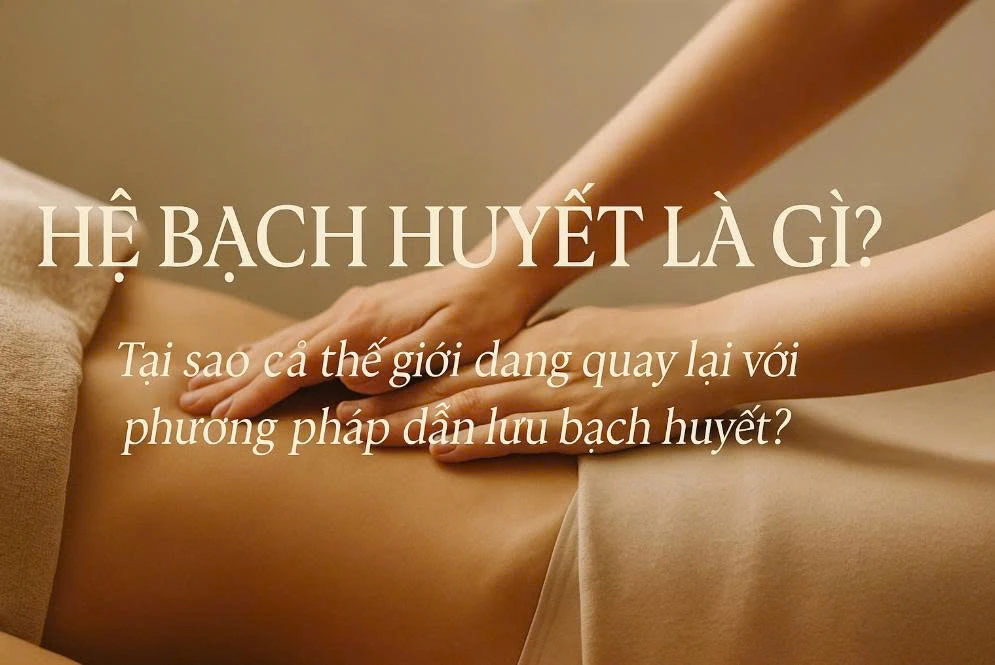 Kiến Thức Hệ Bạch Huyết