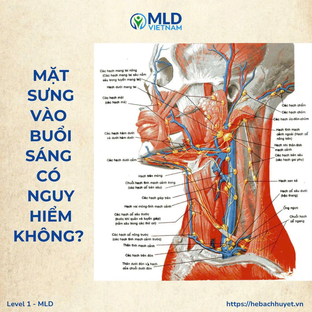 Tại sao sáng ngủ dậy mặt lại sưng? Nguyên nhân và cách giảm nhanh