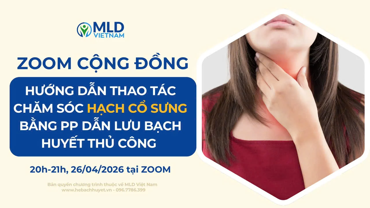 Hệ bạch huyết vùng cổ: Giải phẫu, chức năng và bệnh lý thường gặp