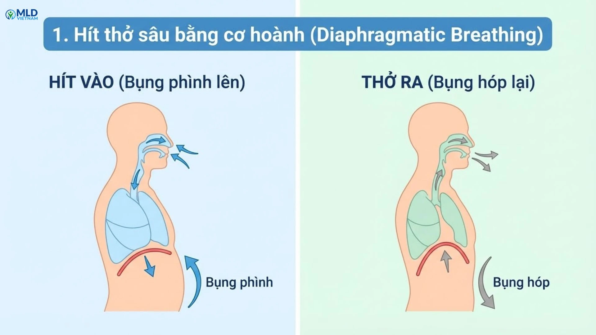 Dòng bạch huyết phản ứng thế nào khi bạn buồn, vui, giận hoặc lo lắng?